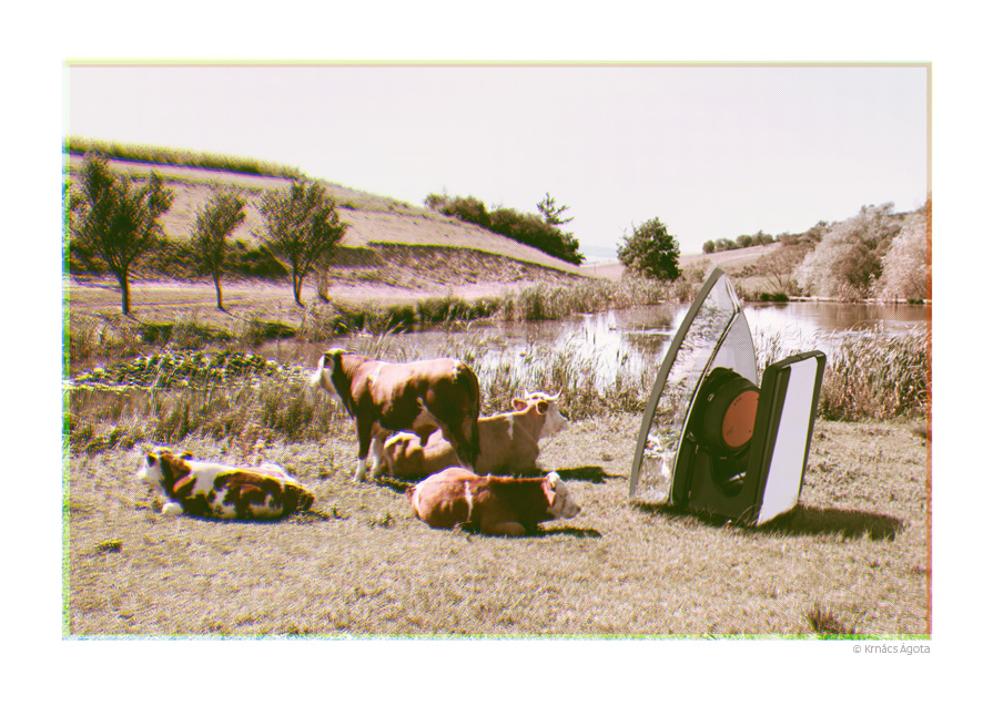 krnacs nyaradi anzix web