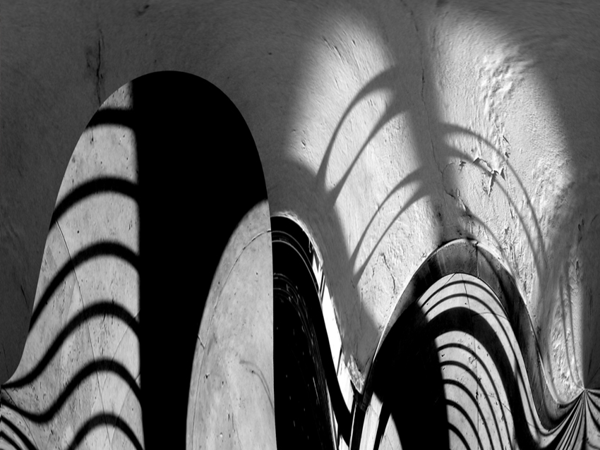 Lieber Erzsébet Karan tény 1 2020