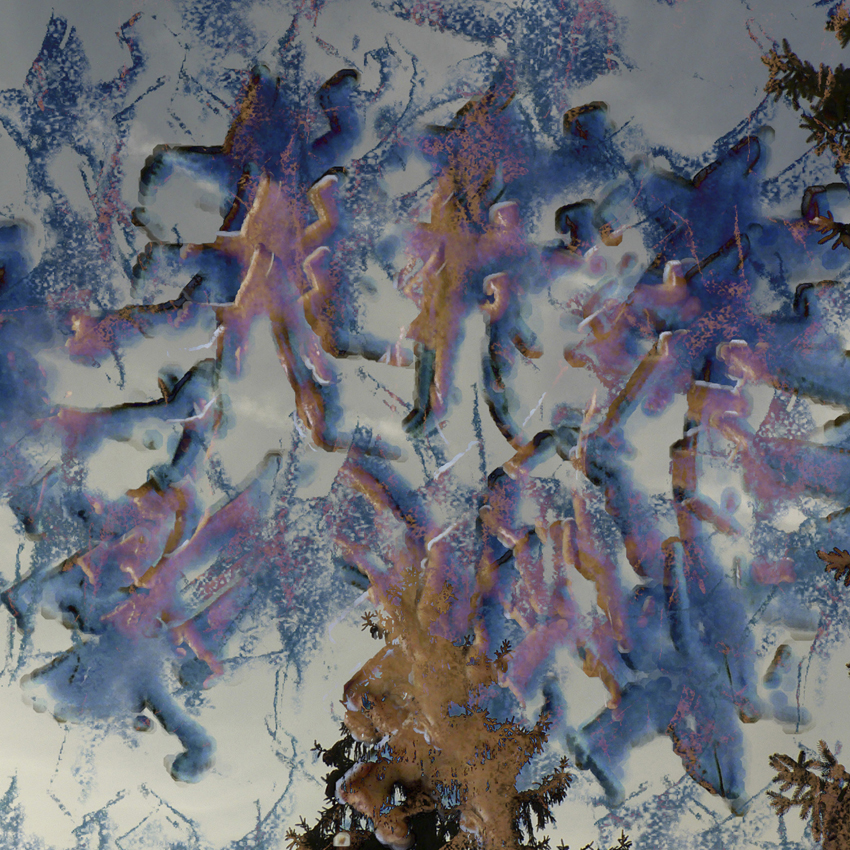 repászkiferencrejtőzködők